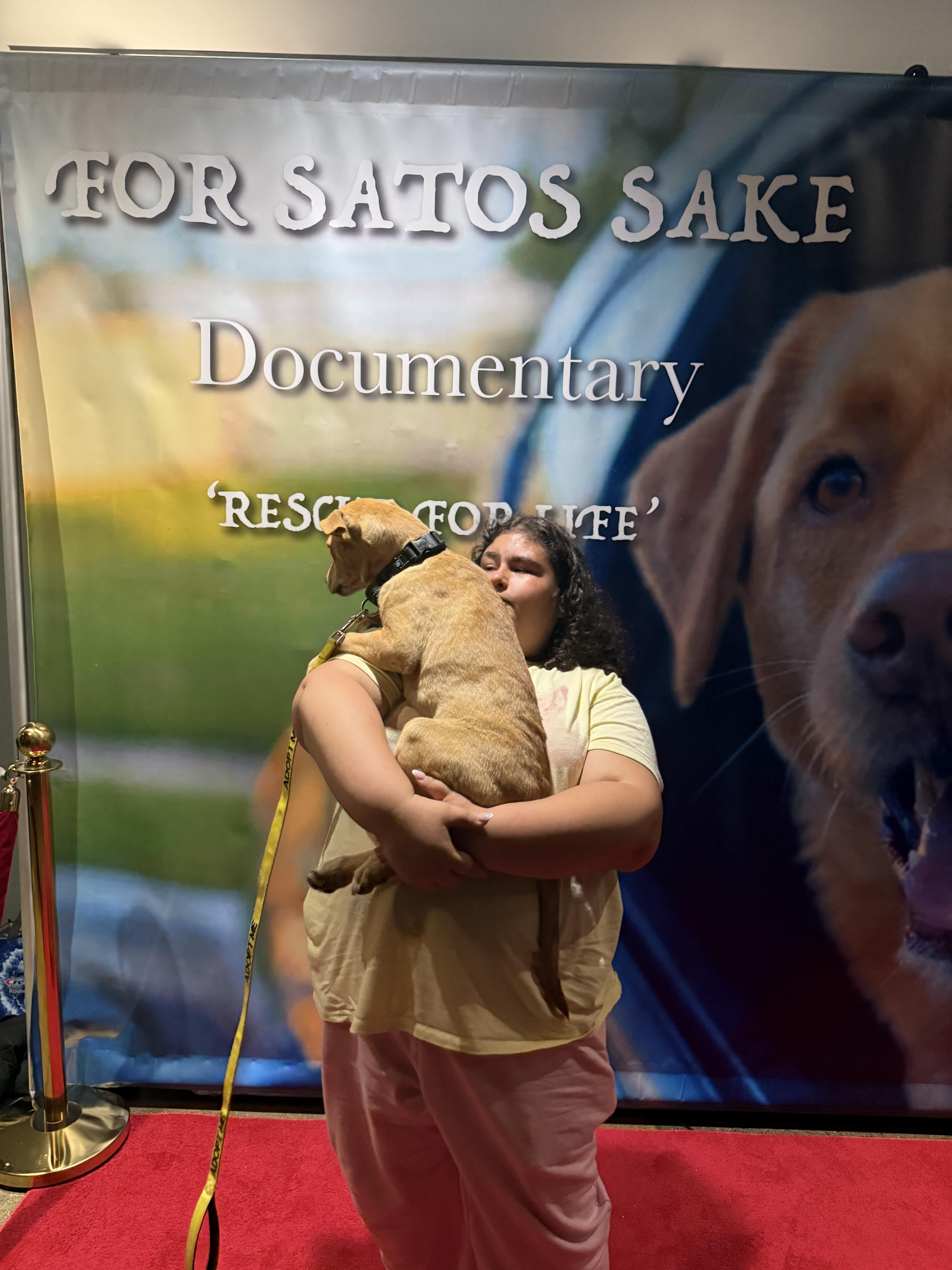 A young medium-sized male Beagle dog named Draco for adoption in Pleasant Valley, NY