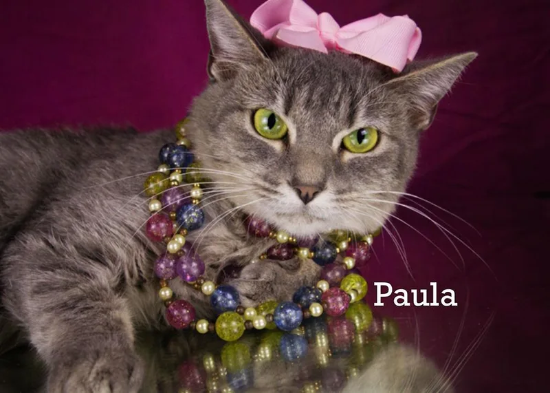 Paula thumbnail 2