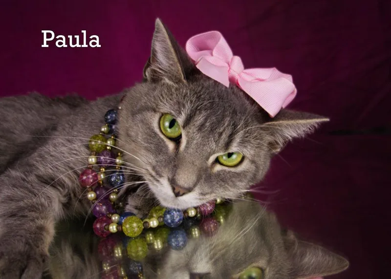 Paula thumbnail 3
