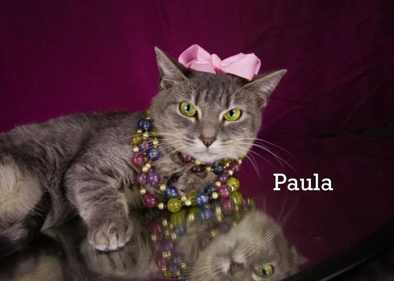 Paula thumbnail 4