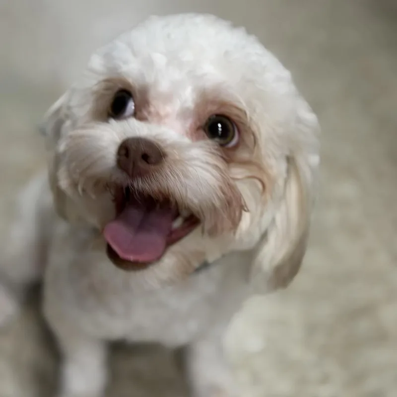 Haven thumbnail 3