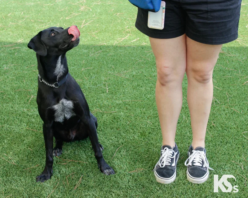 Lou thumbnail 6
