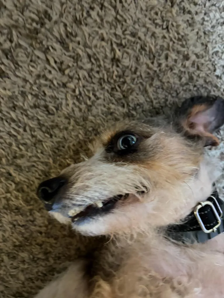 Twix