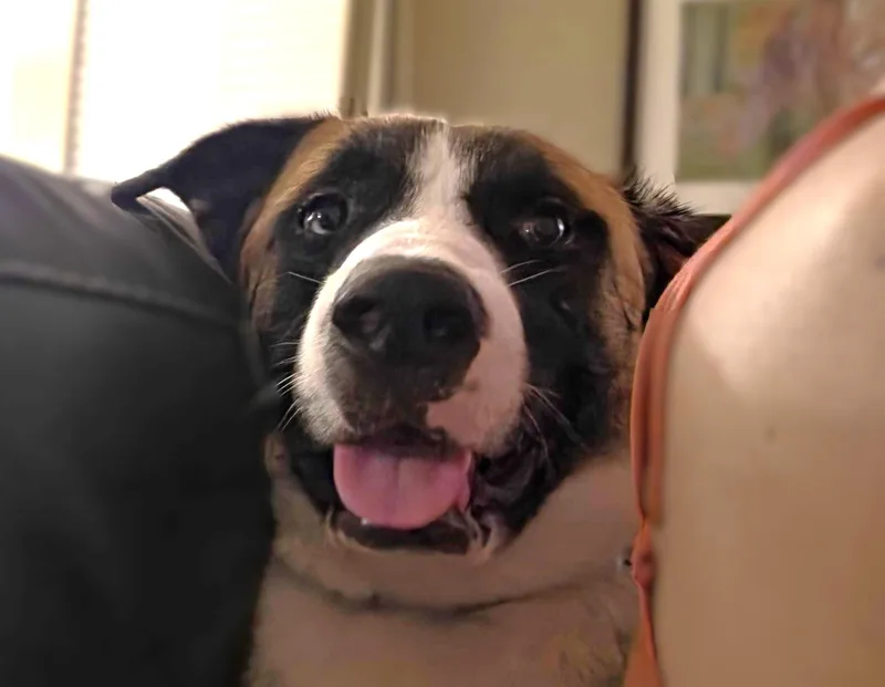 Odin