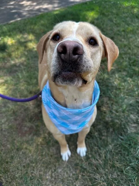 Bonnie