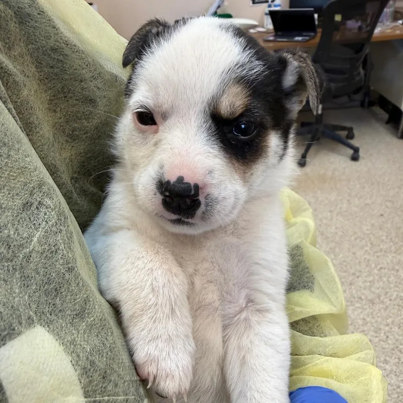 Highway Hero thumbnail 2