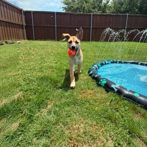 Daisy May thumbnail 3