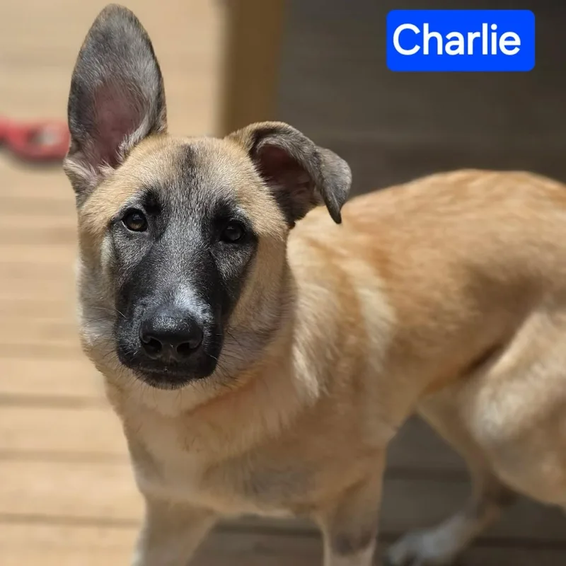 Charlie