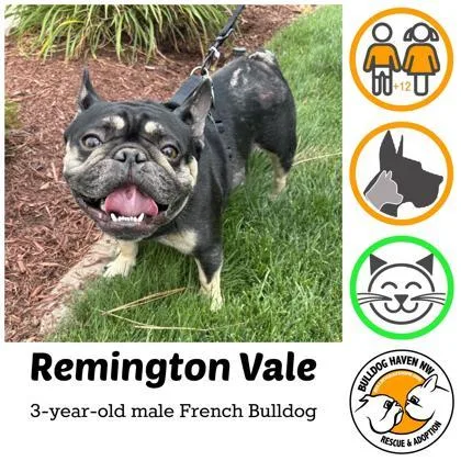 Remington Vale thumbnail 3