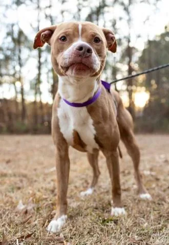 Cumberbatch thumbnail 2