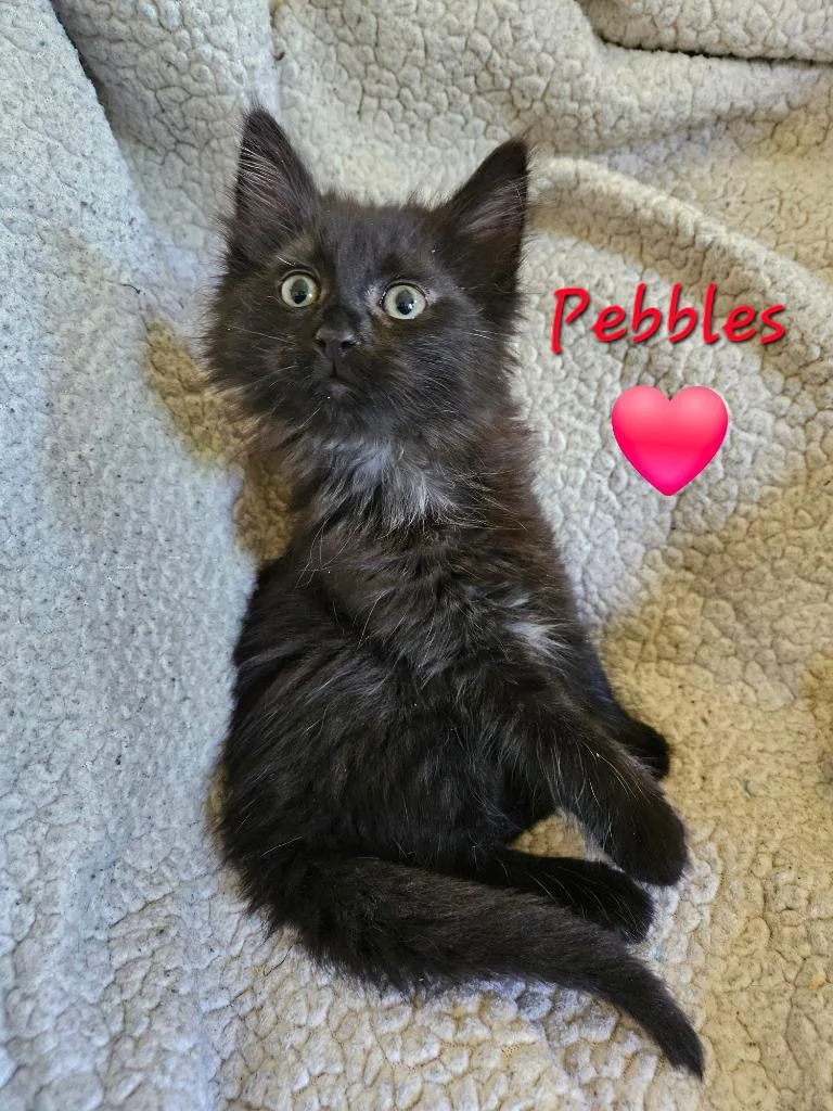 Pebbles Flintstone thumbnail 3