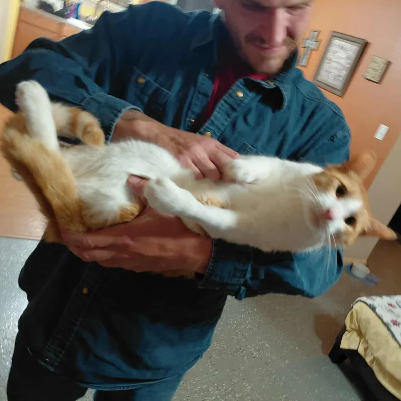 Sebastian thumbnail 3