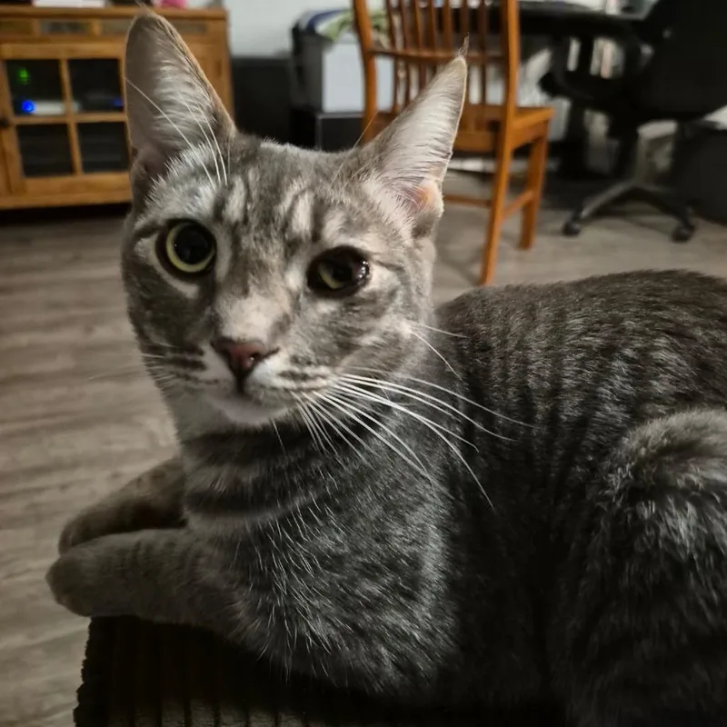 Gretchen thumbnail 5