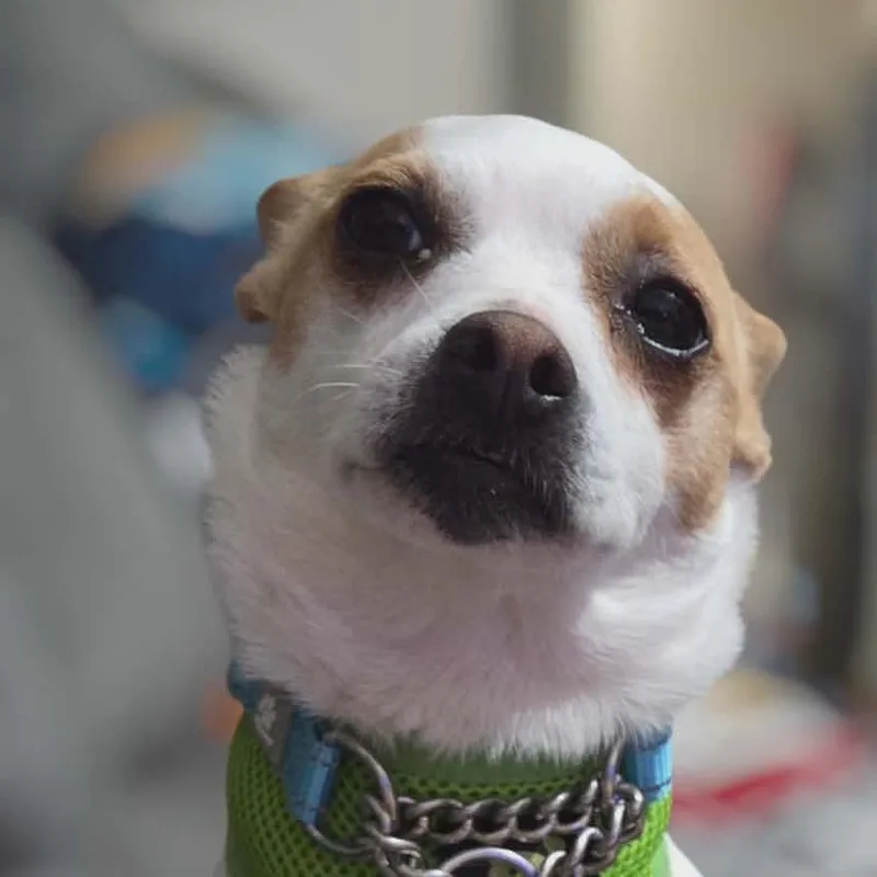 Star Bailey thumbnail 2