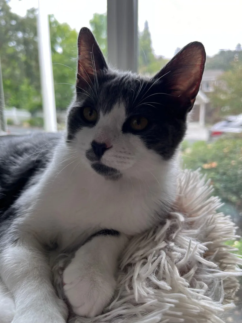 Poppy & Stella thumbnail 3