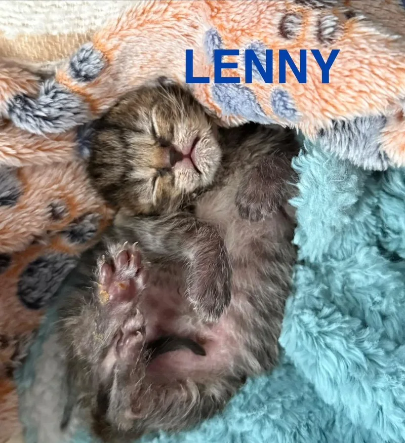 Lenny