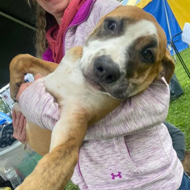 Dandelion "danny"pawsinprison Graduate
