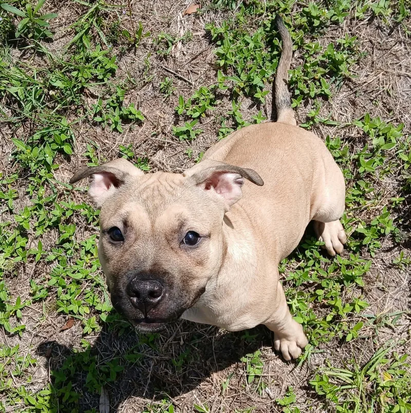 Coco