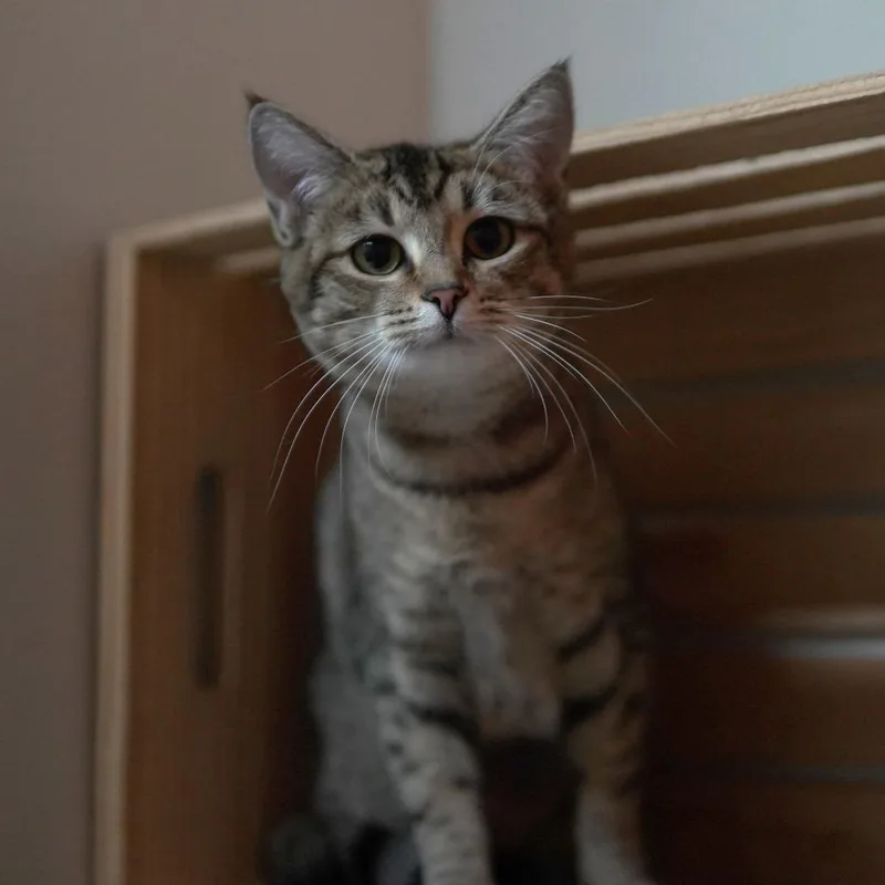 Maggie thumbnail 3