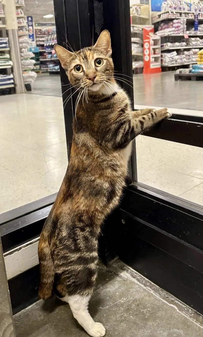 Citra And Brewster thumbnail 3