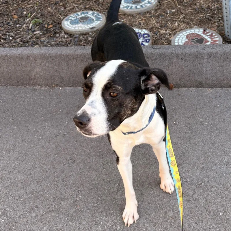 Serenity thumbnail 2