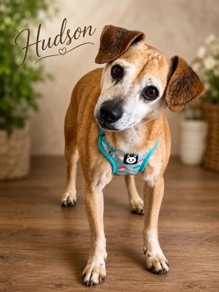 Hudson