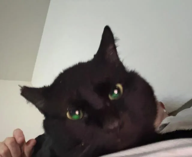 Bruce Wayne thumbnail 3