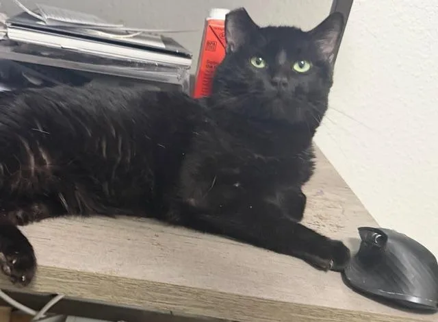 Bruce Wayne thumbnail 4