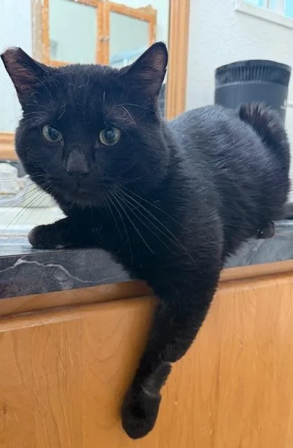 Bruce Wayne thumbnail 5