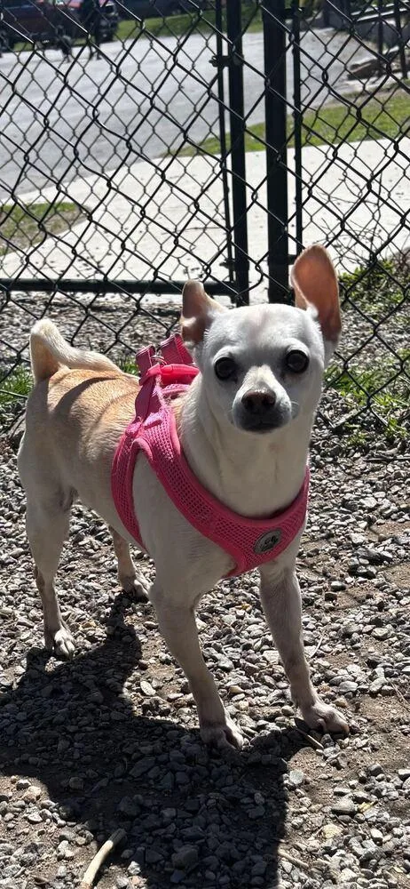 Moon Baby thumbnail 3