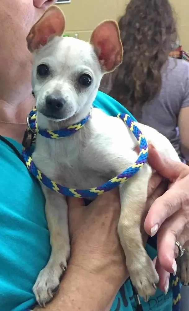 Moon Baby thumbnail 4