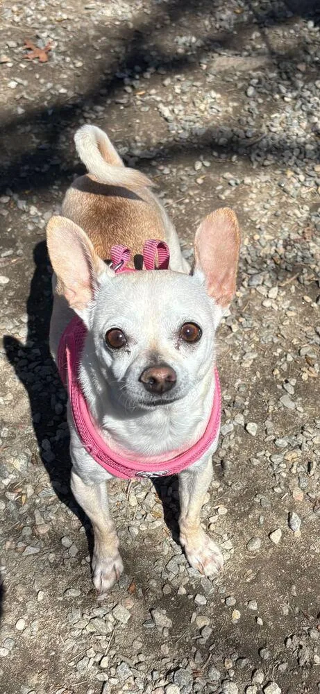 Moon Baby thumbnail 5