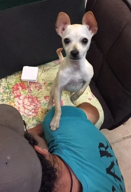 Moon Baby thumbnail 6