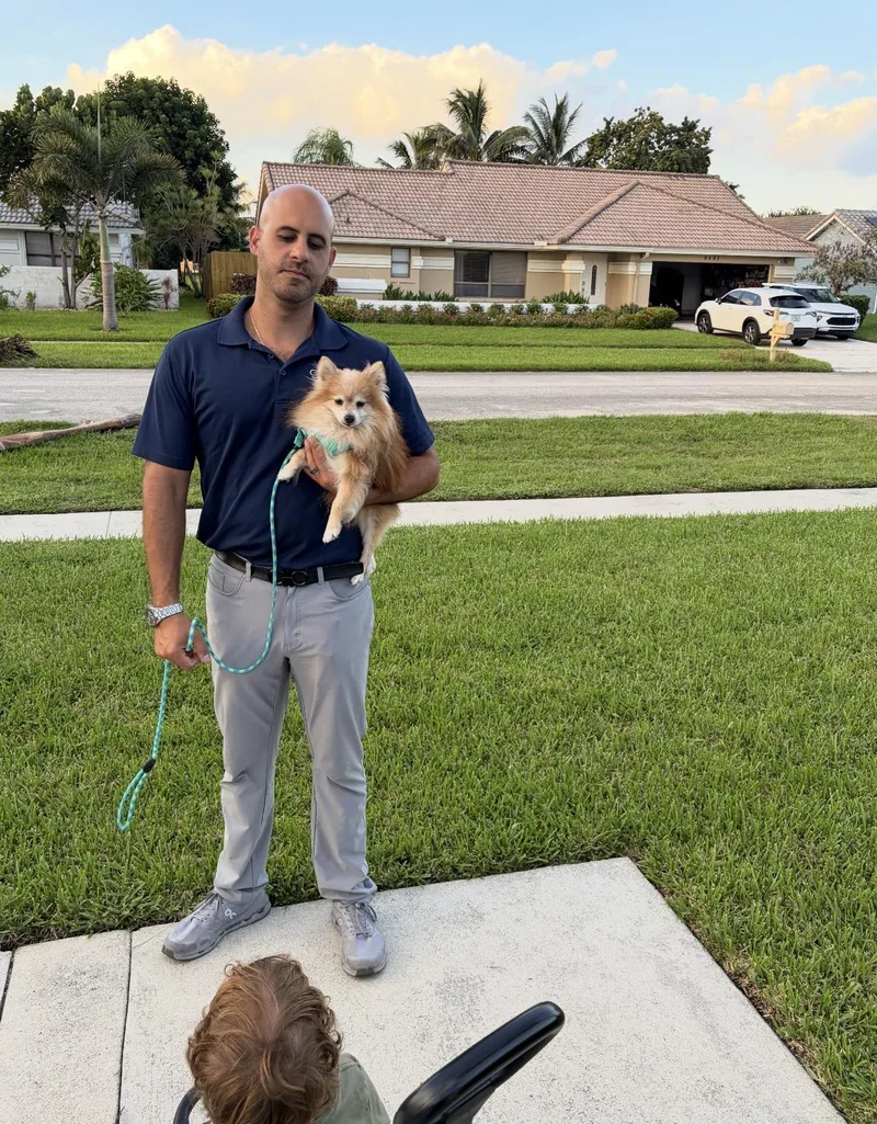 A senior small-sized male Pomeranian dog named Panda for adoption in Boynton Beach, FL