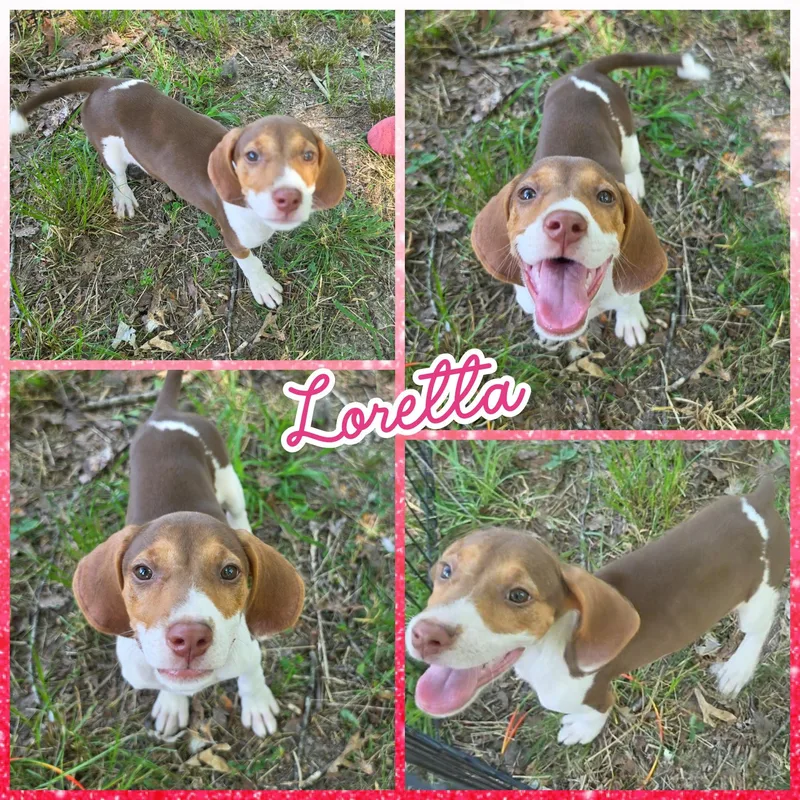 Loretta thumbnail 2