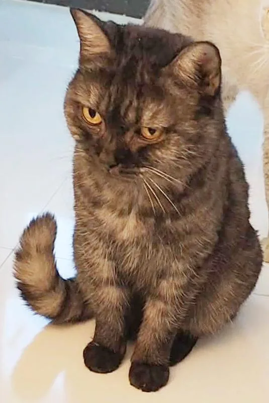 Wednesday! Wonderful Wonderful Wonderful thumbnail 2