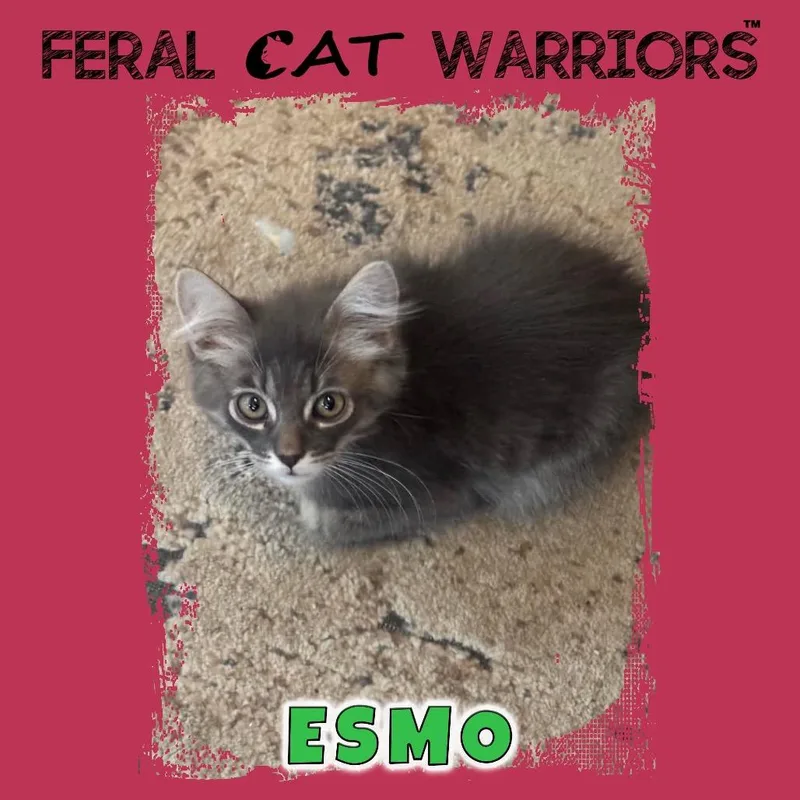 Esmo