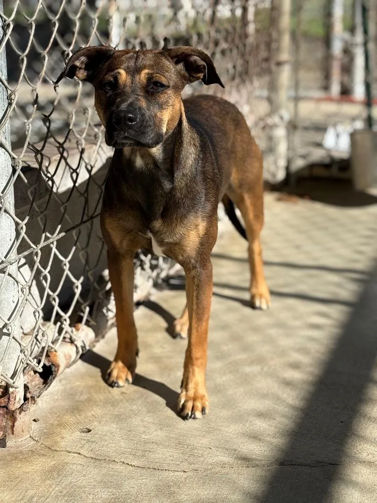 Madame Wiggles thumbnail 2