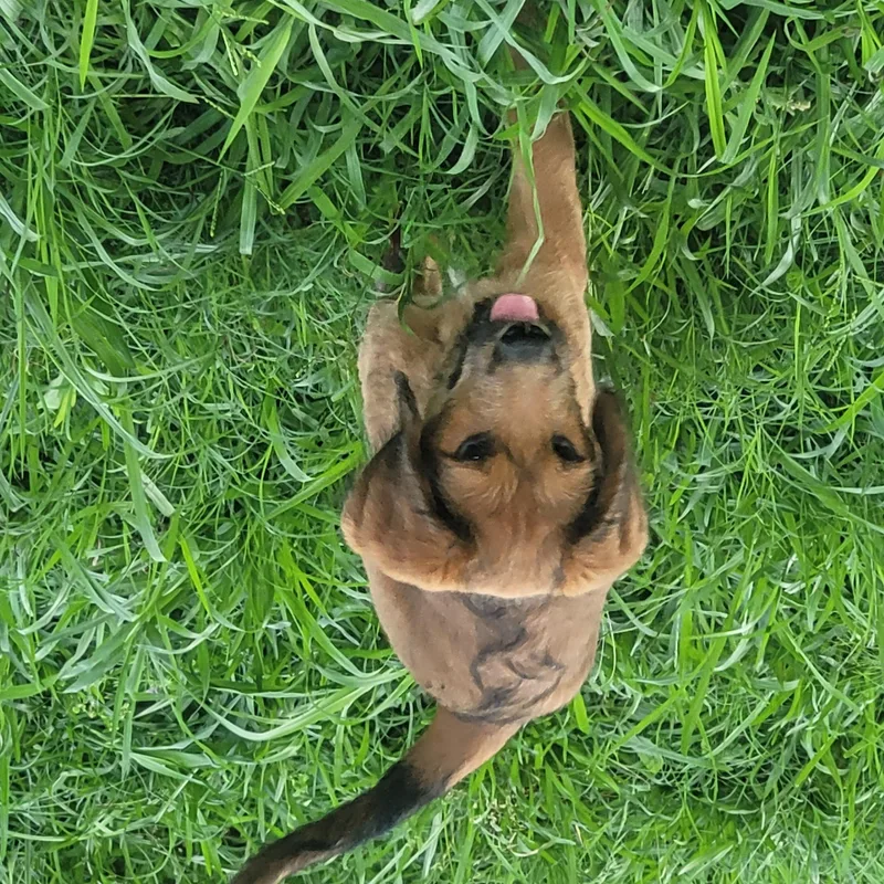Happy