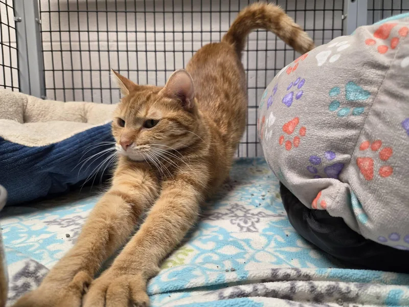Bernice & Tuna Roll thumbnail 2