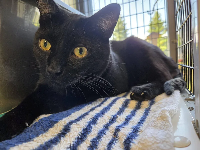 Bernice & Tuna Roll thumbnail 3