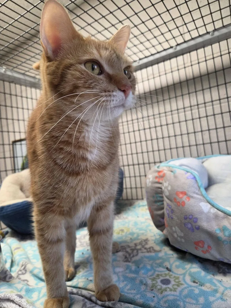Bernice & Tuna Roll thumbnail 4