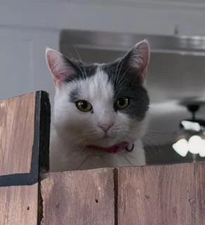 Sasha & Helga Petaki thumbnail 2