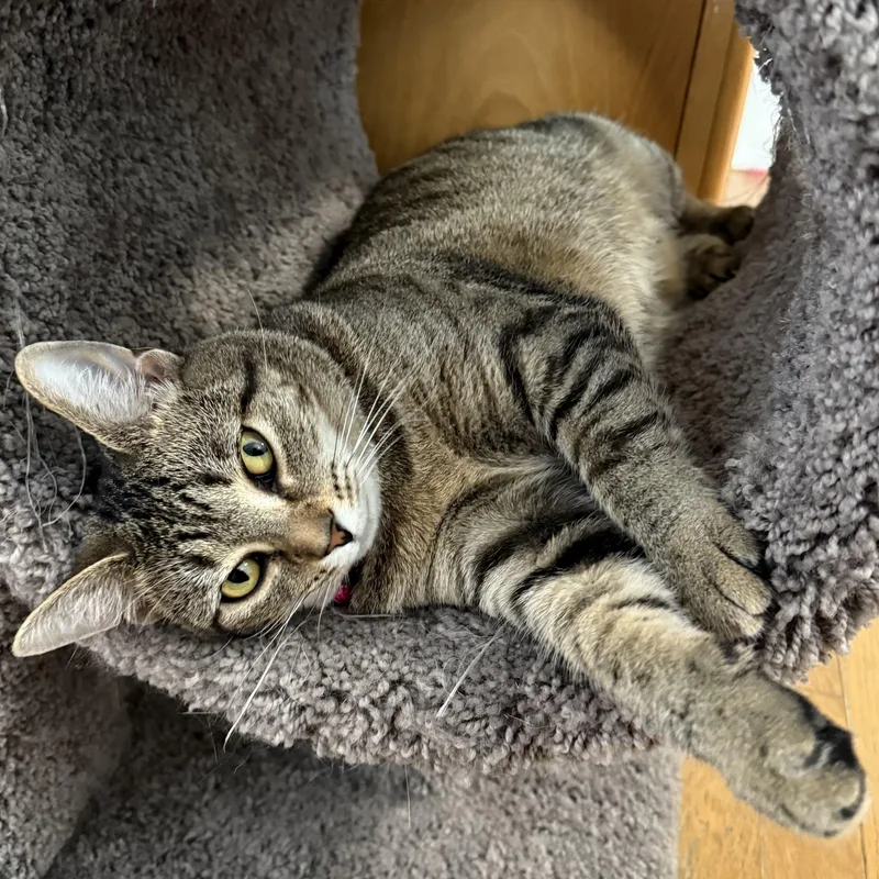 Sasha & Helga Petaki thumbnail 4