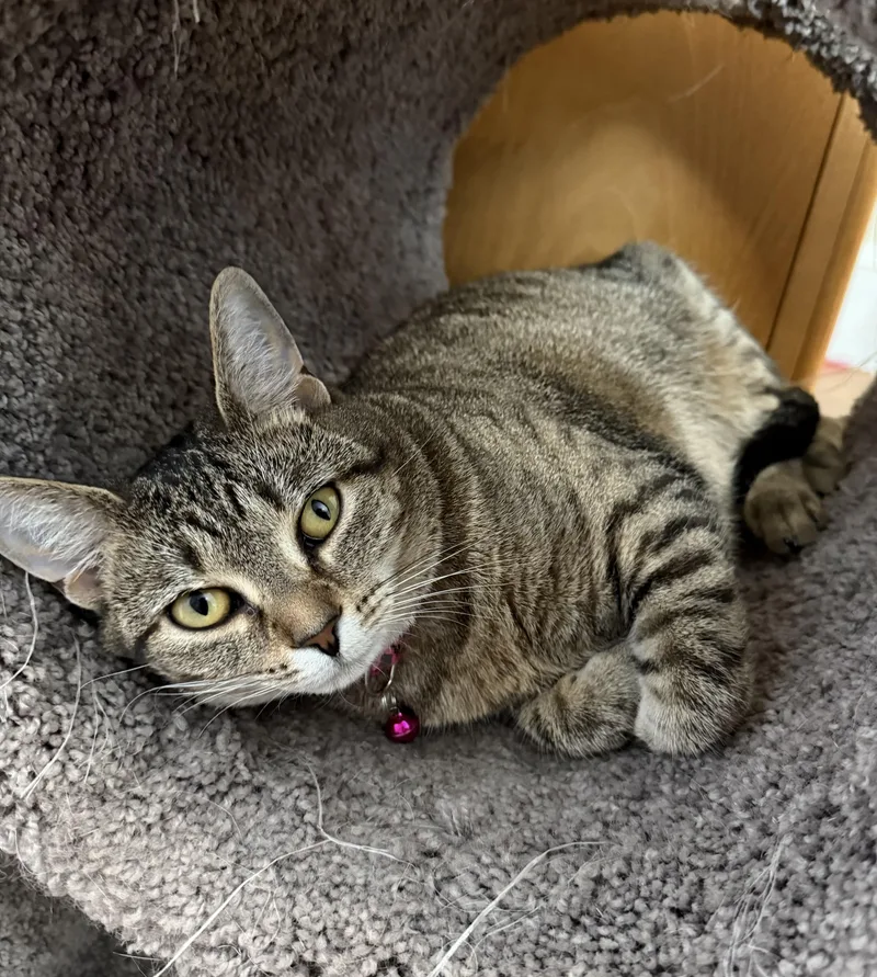 Sasha & Helga Petaki thumbnail 6