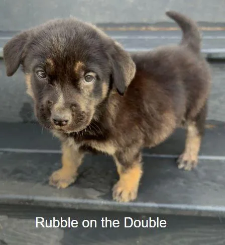 Rubble On The Double thumbnail 3