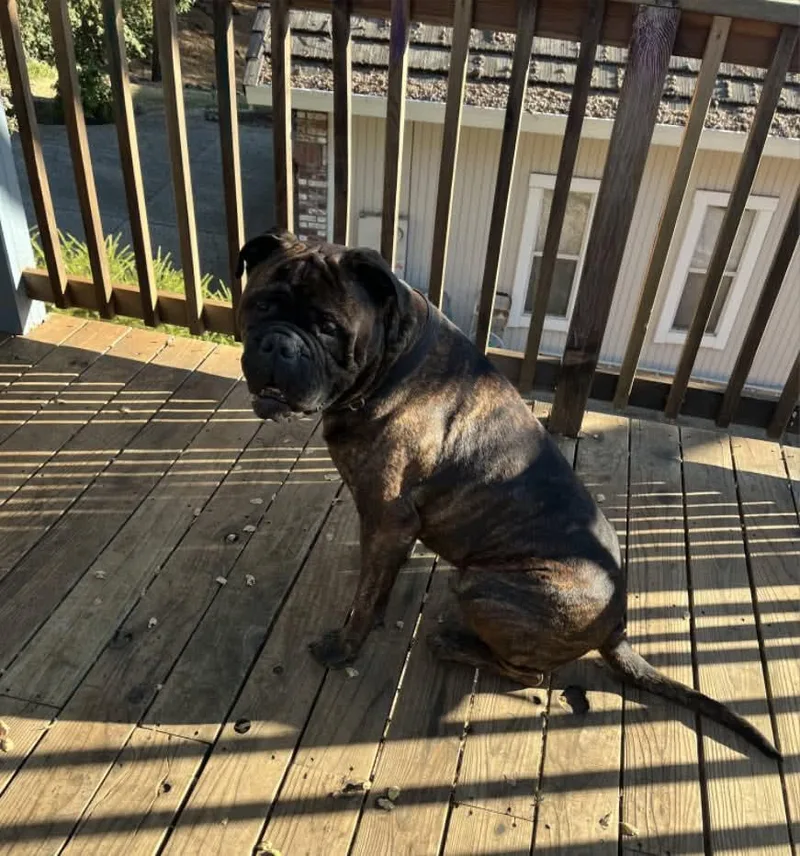 Zeus  Ca thumbnail 3