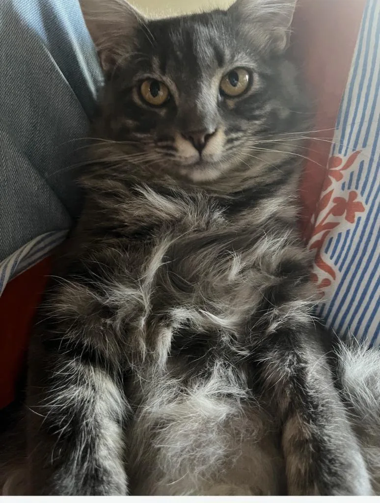 Fluffernutter