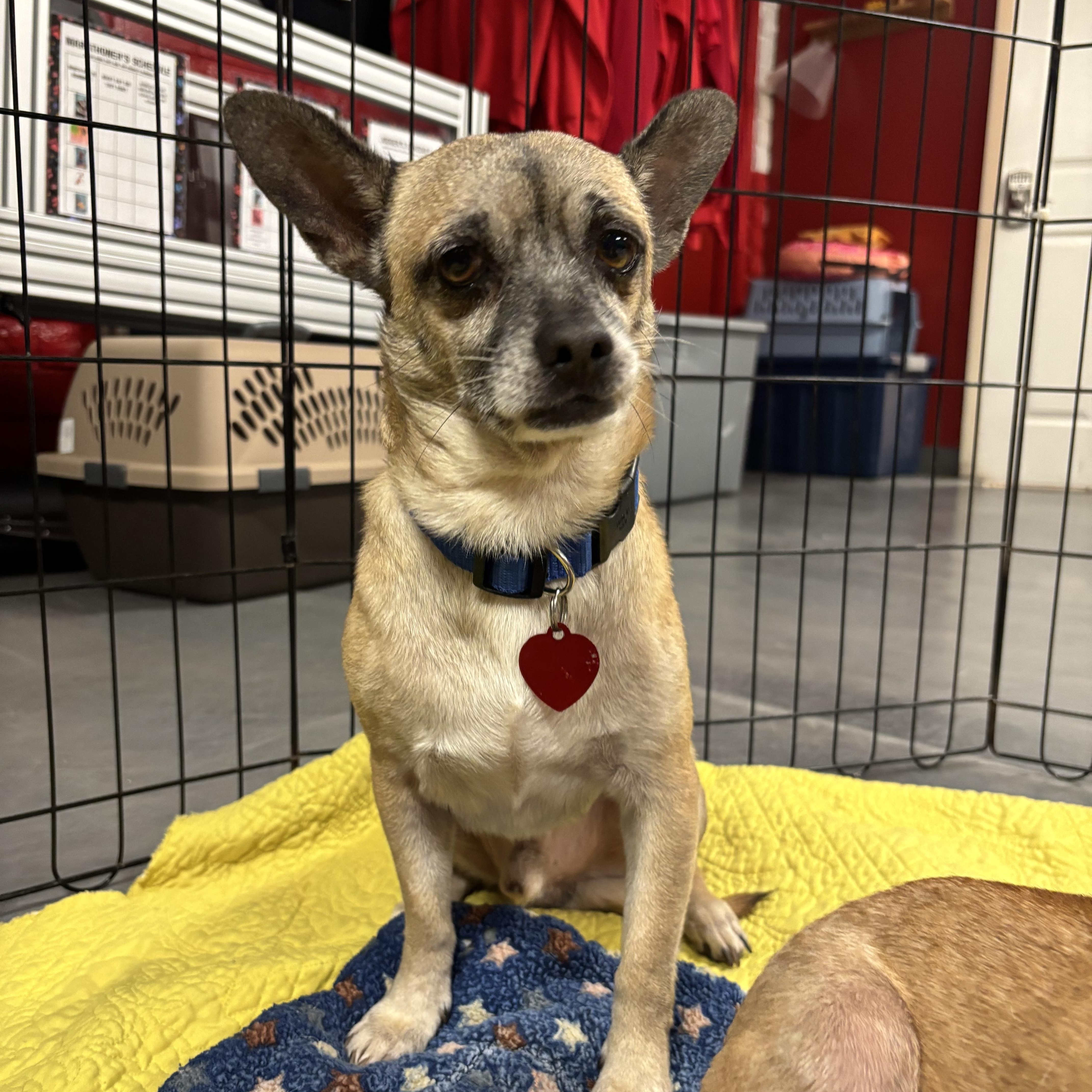 Bert & Ernie thumbnail 3