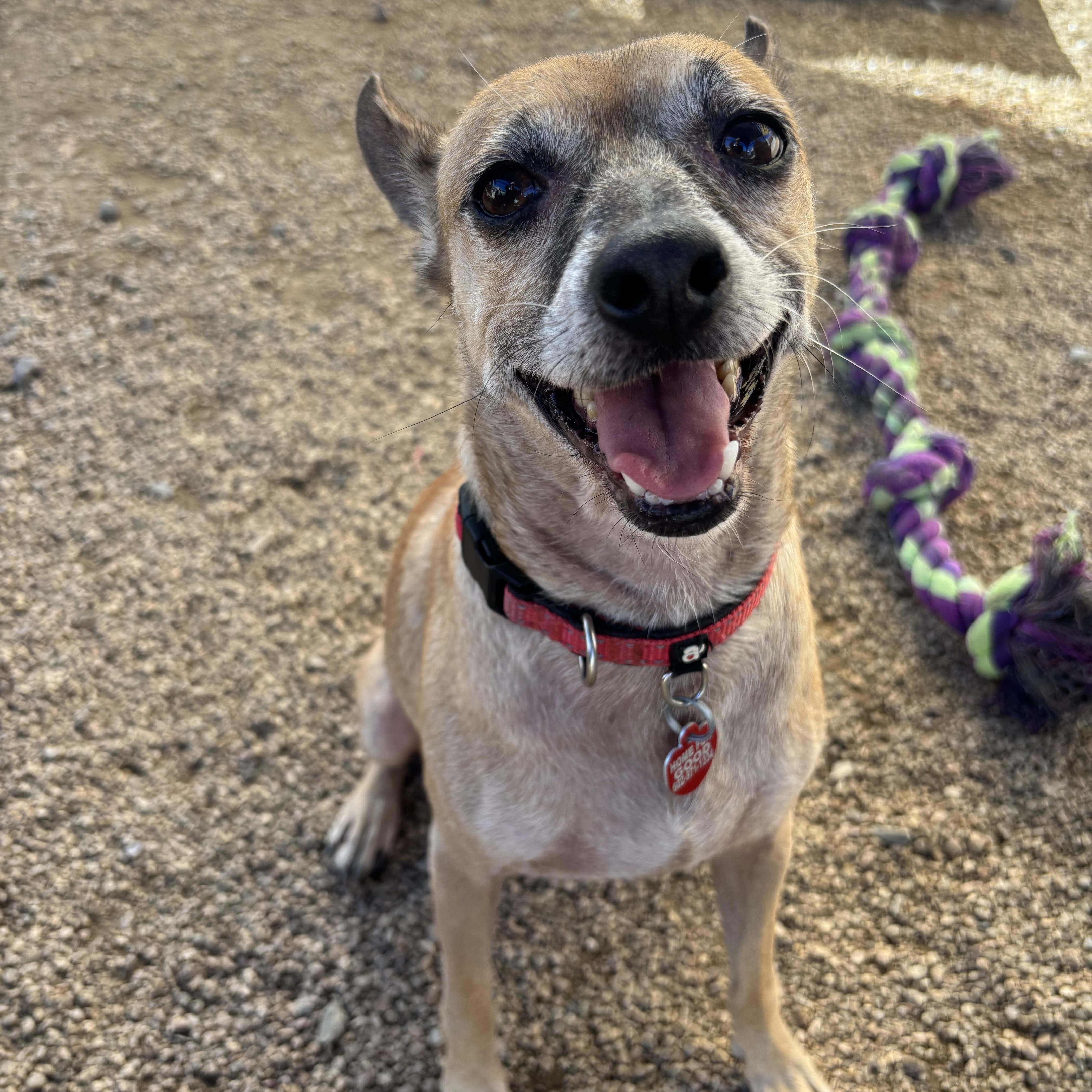 Bert & Ernie thumbnail 4